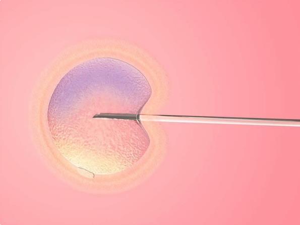 患有内膜炎如何做试管，治好后再做试管更容易受孕