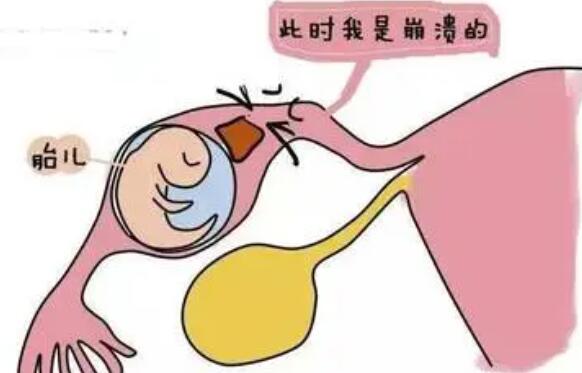 辽宁有私立机构可以做三代试管婴儿吗，费用高吗