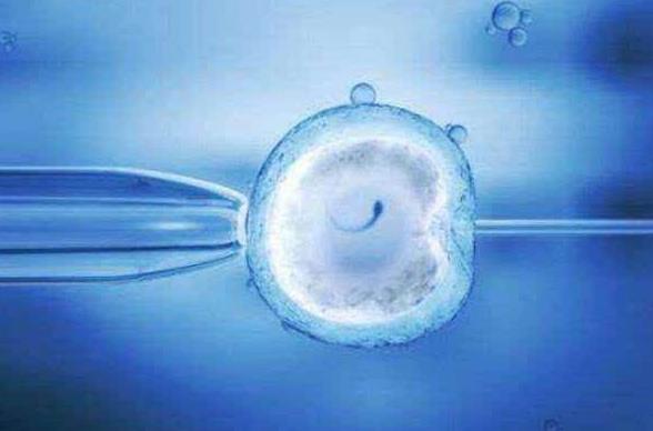 三代试管精卵不结合会怎么样要早知及时补救照常移植