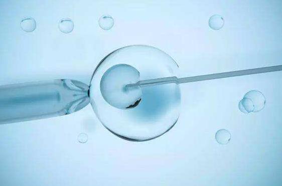 鲜囊胚移植第二天的重要性，游走和分裂的情况分析