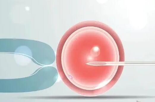 试管婴儿冷冻胚胎有哪些弊端，优缺点介绍
