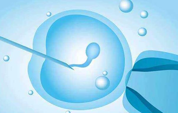 美国第三代试管基因检测技术是否会破坏胚胎质量